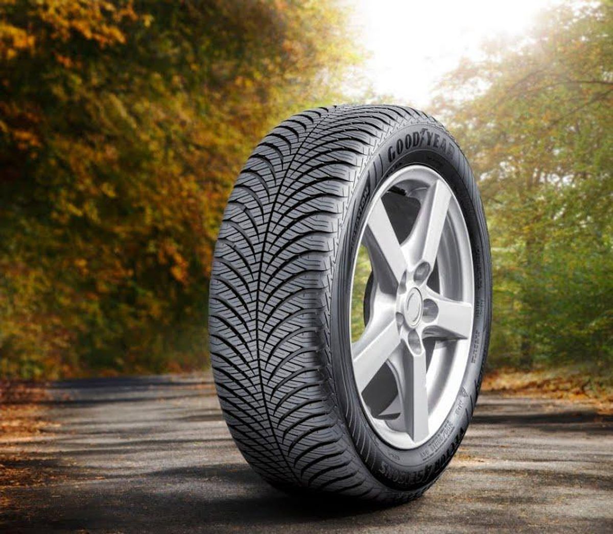 Goodyear Vector 4Seasons: Notre Avis Sur Le Pneumatique